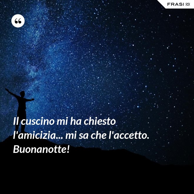 Il cuscino mi ha chiesto l'amicizia... mi sa che l'accetto. Buonanotte! - Anonimo