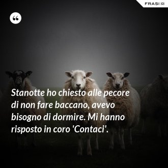 Stanotte ho chiesto alle pecore di non fare baccano, avevo bisogno di dormire. Mi hanno risposto in coro 'Contaci'. - Anonimo