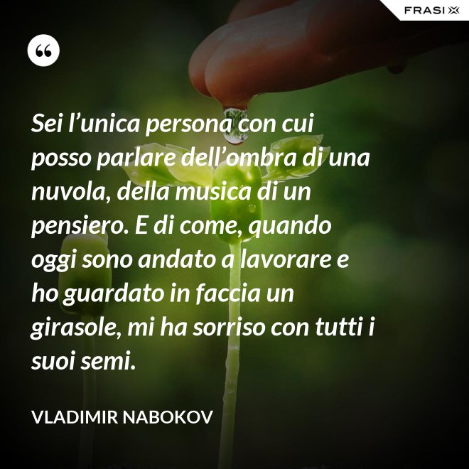 Sei l’unica persona con cui posso parlare dell’ombra di una nuvola, della musica di un pensiero. E di come, quando oggi sono andato a lavorare e ho guardato in faccia un girasole, mi ha sorriso con tutti i suoi semi. - Vladimir Nabokov