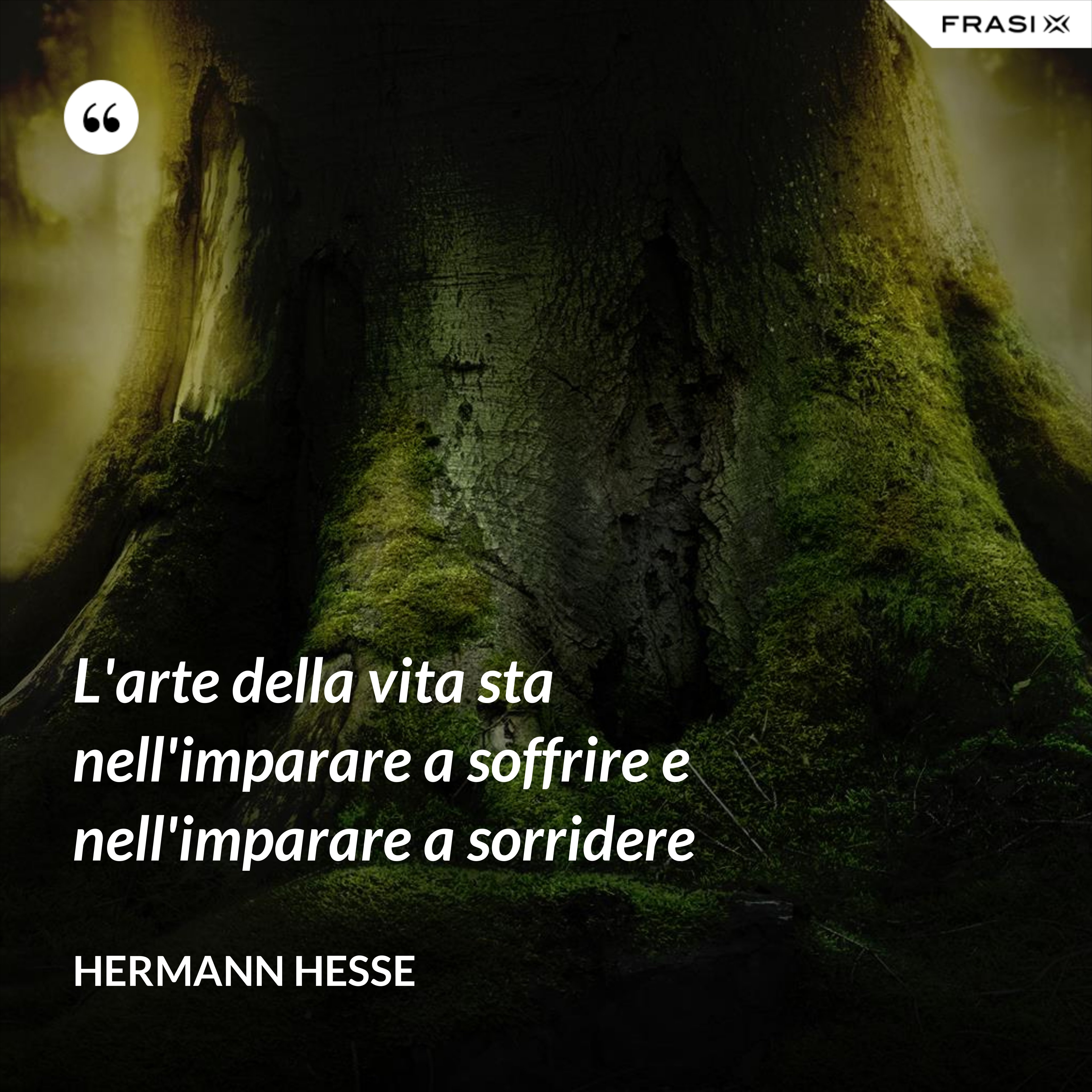 L'arte della vita sta nell'imparare a soffrire e nell'imparare a sorridere - Hermann Hesse