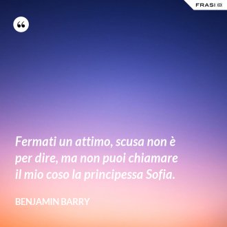 Fermati un attimo, scusa non è per dire, ma non puoi chiamare il mio coso la principessa Sofia. - Benjamin Barry