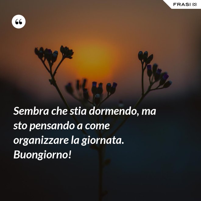 Sembra che stia dormendo, ma sto pensando a come organizzare la giornata. Buongiorno! - Anonimo