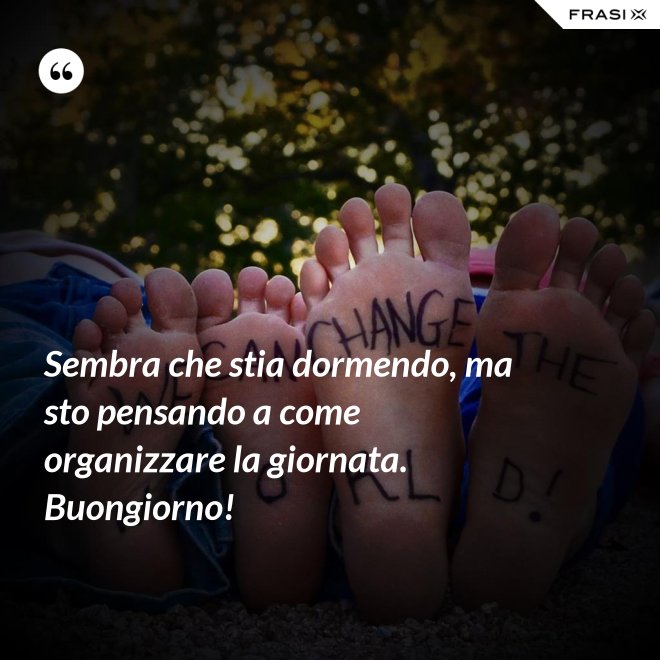 Sembra che stia dormendo, ma sto pensando a come organizzare la giornata. Buongiorno! - Anonimo