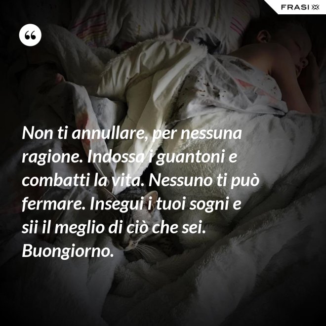 Non ti annullare, per nessuna ragione. Indossa i guantoni e combatti la vita. Nessuno ti può fermare. Insegui i tuoi sogni e sii il meglio di ciò che sei. Buongiorno. - Anonimo