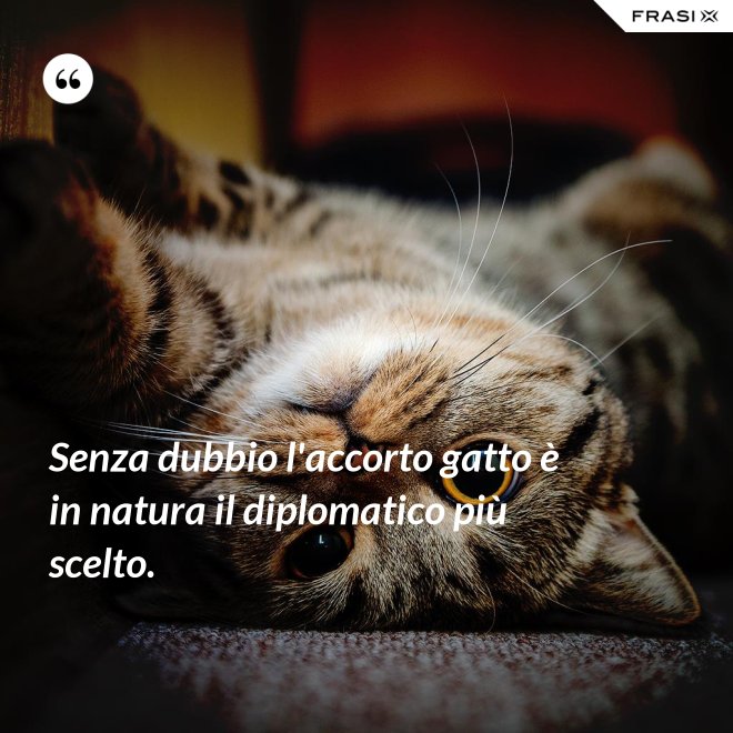 Senza dubbio l'accorto gatto è in natura il diplomatico più scelto. - Anonimo