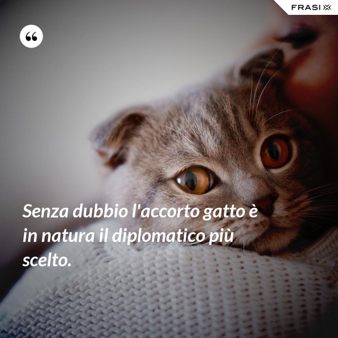 Senza dubbio l'accorto gatto è in natura il diplomatico più scelto. - Anonimo
