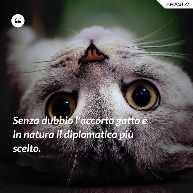Senza dubbio l'accorto gatto è in natura il diplomatico più scelto. - Anonimo