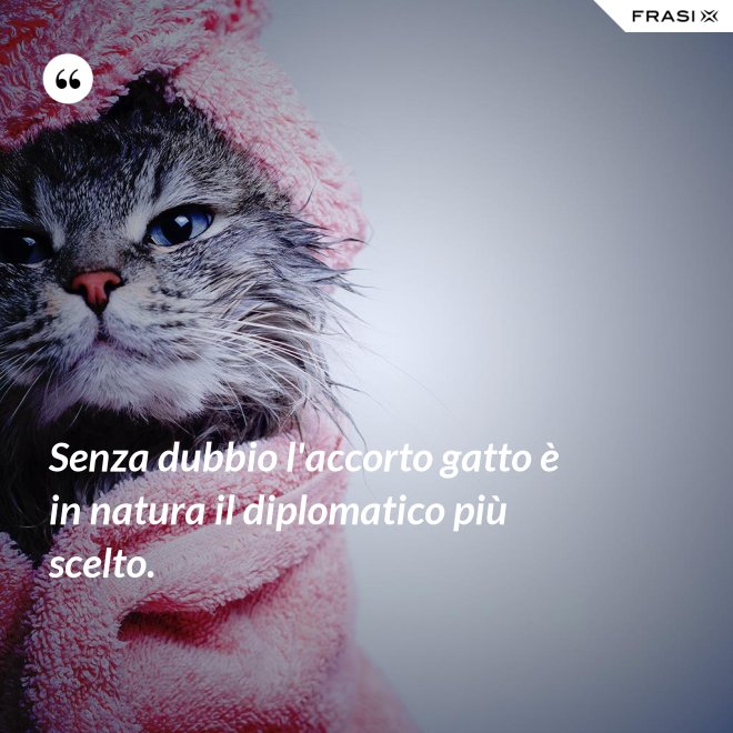 Senza dubbio l'accorto gatto è in natura il diplomatico più scelto. - Anonimo