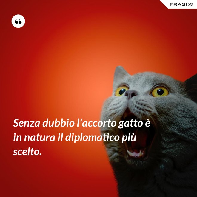 Senza dubbio l'accorto gatto è in natura il diplomatico più scelto. - Anonimo