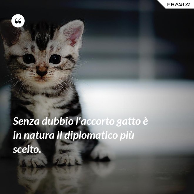 Senza dubbio l'accorto gatto è in natura il diplomatico più scelto. - Anonimo