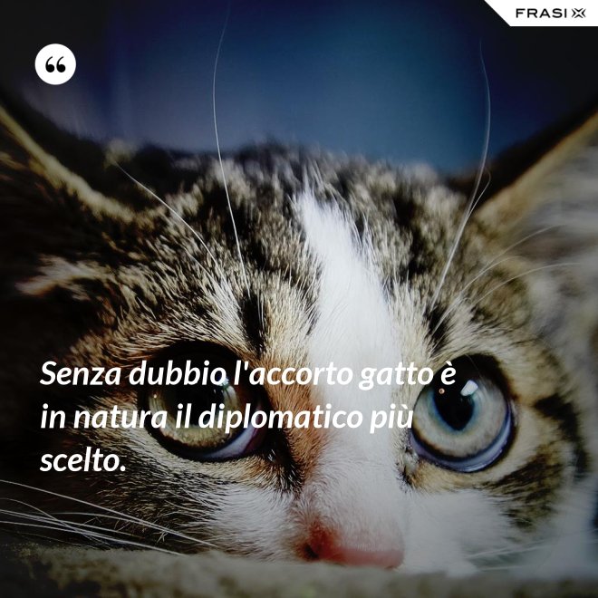 Senza dubbio l'accorto gatto è in natura il diplomatico più scelto. - Anonimo