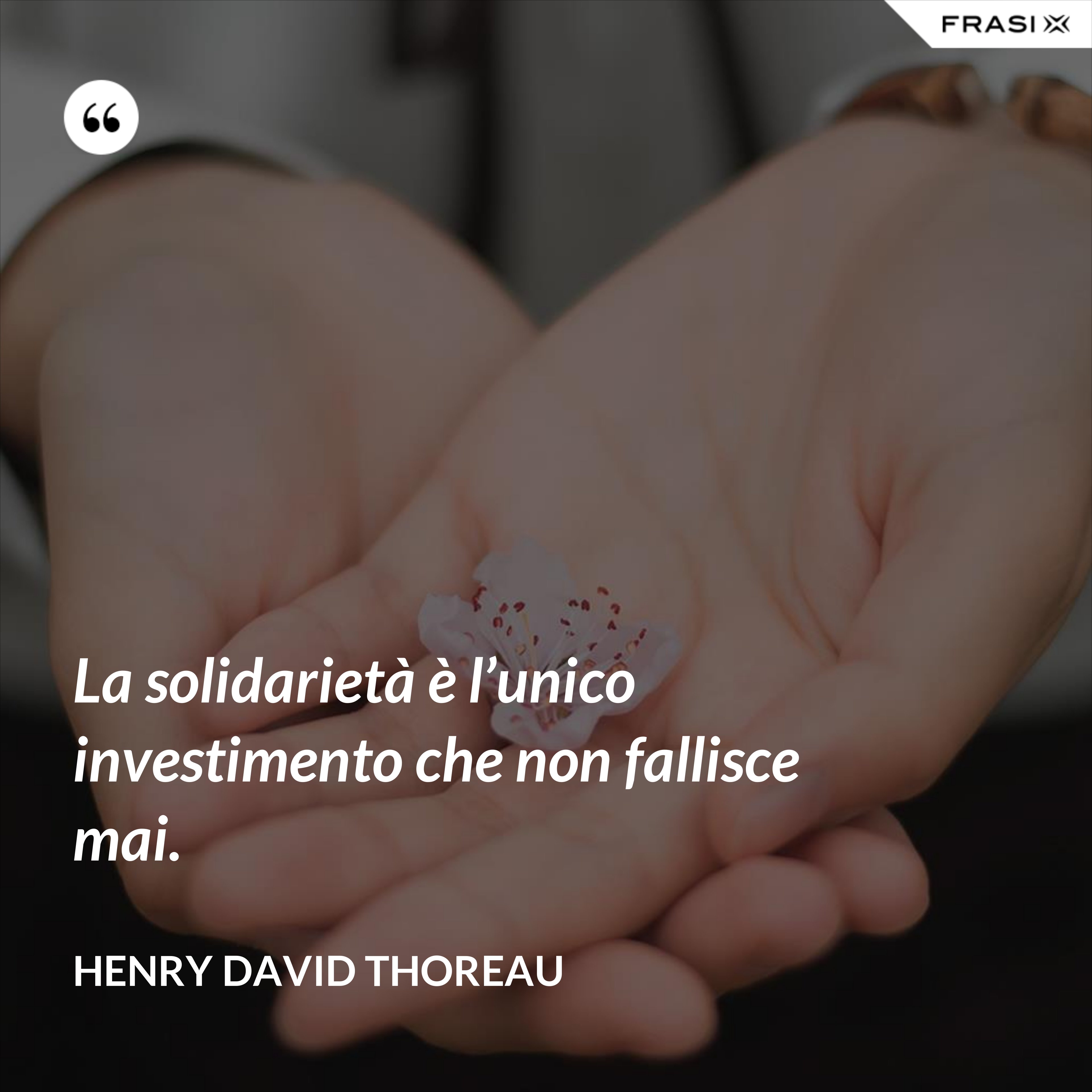 La solidarietà è l’unico investimento che non fallisce mai. - Henry David Thoreau