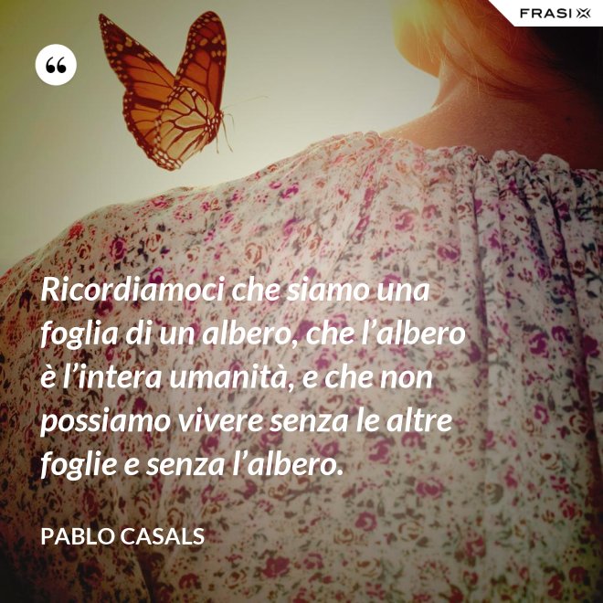 Ricordiamoci che siamo una foglia di un albero, che l’albero è l’intera uma­nità, e che non possiamo vivere senza le altre foglie e senza l’albero. - Pablo Ca­sals