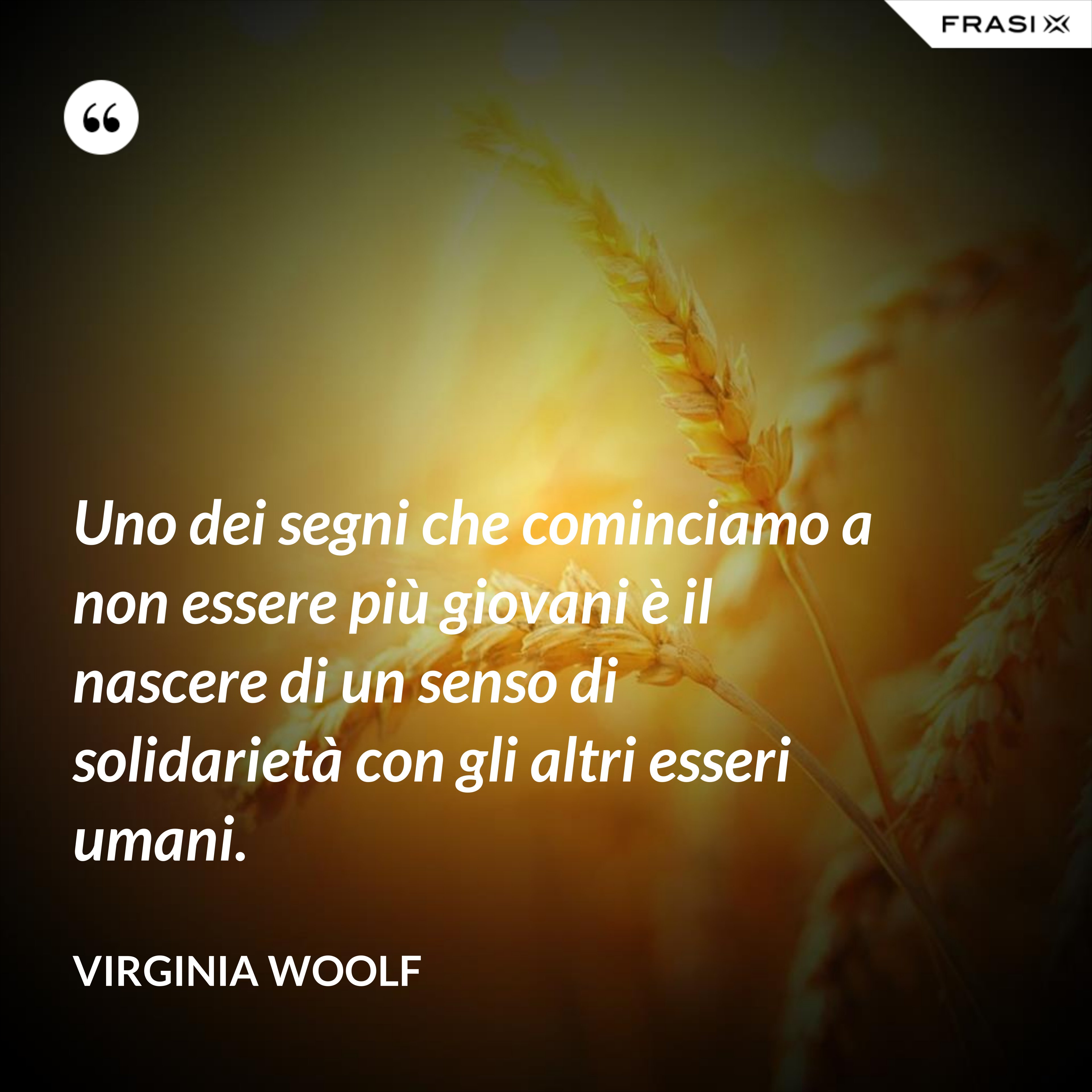 Uno dei segni che cominciamo a non essere più giovani è il nascere di un senso di solidarietà con gli altri esseri umani. - Virginia Woolf