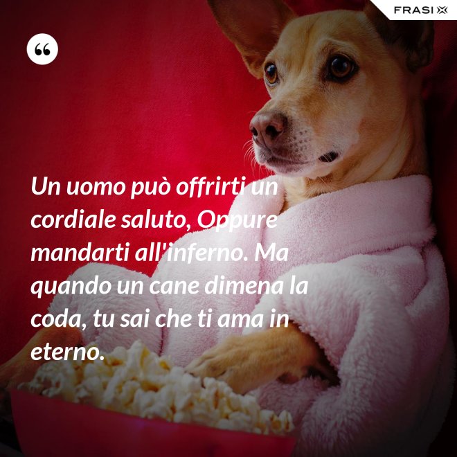 Un uomo può offrirti un cordiale saluto, Oppure mandarti all'inferno. Ma quando un cane dimena la coda, tu sai che ti ama in eterno. - Anonimo