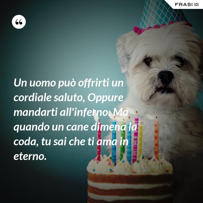 Un uomo può offrirti un cordiale saluto, Oppure mandarti all'inferno. Ma quando un cane dimena la coda, tu sai che ti ama in eterno. - Anonimo