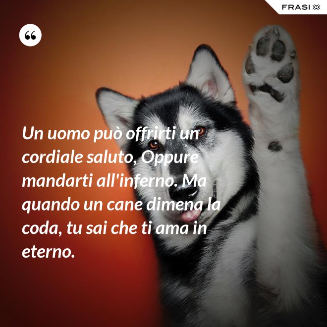 Un uomo può offrirti un cordiale saluto, Oppure mandarti all'inferno. Ma quando un cane dimena la coda, tu sai che ti ama in eterno. - Anonimo
