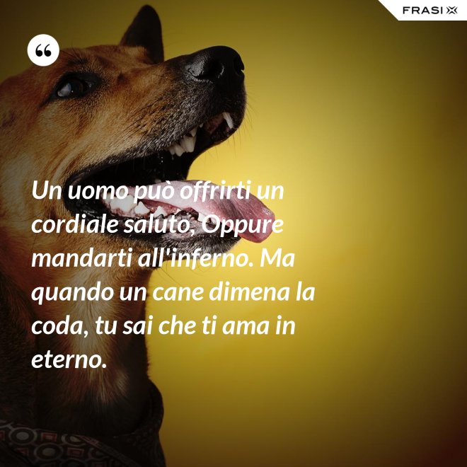 Un uomo può offrirti un cordiale saluto, Oppure mandarti all'inferno. Ma quando un cane dimena la coda, tu sai che ti ama in eterno. - Anonimo
