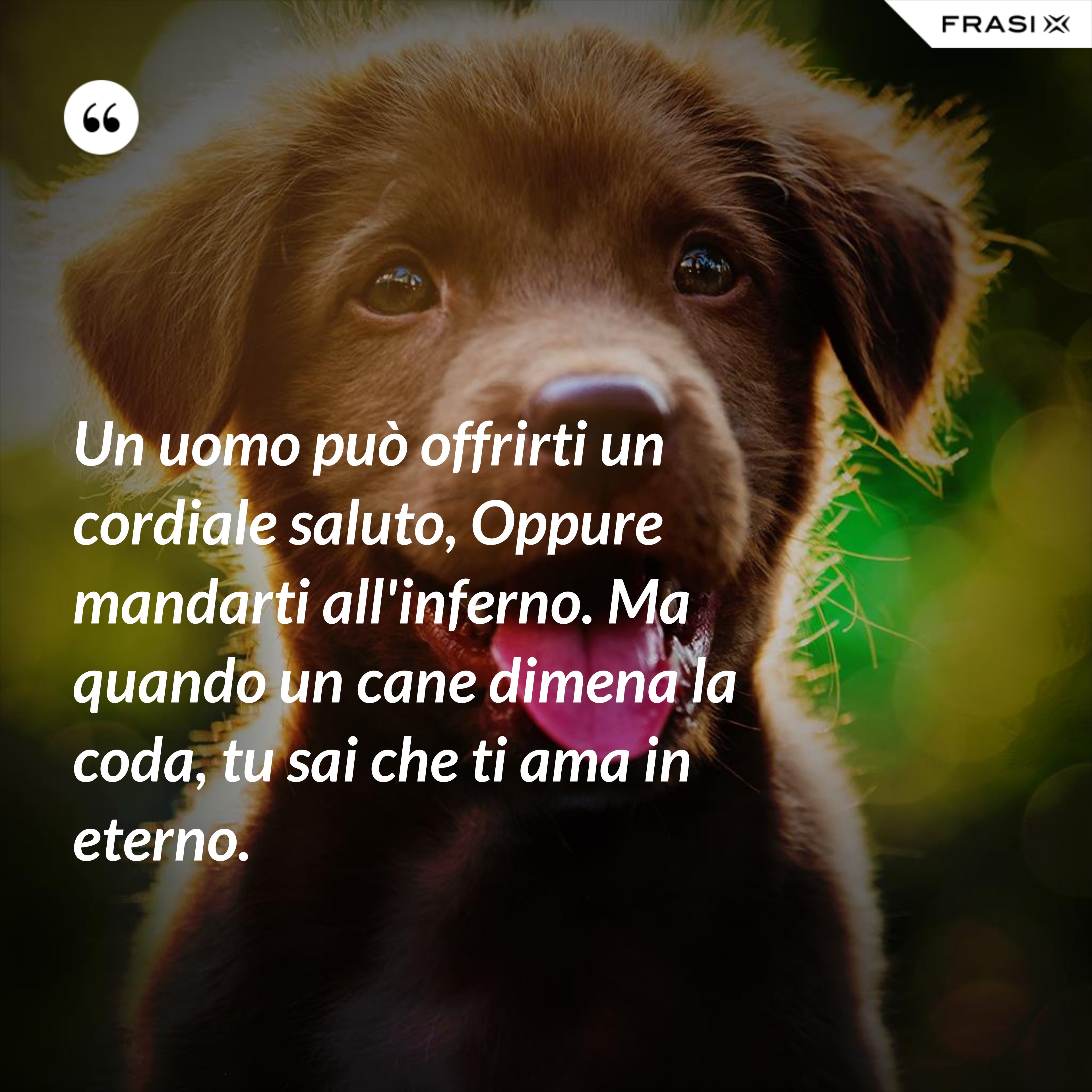 Un uomo può offrirti un cordiale saluto, Oppure mandarti all'inferno. Ma quando un cane dimena la coda, tu sai che ti ama in eterno. - Anonimo