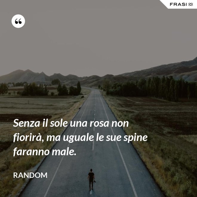 Senza il sole una rosa non fiorirà, ma uguale le sue spine faranno male. - Random
