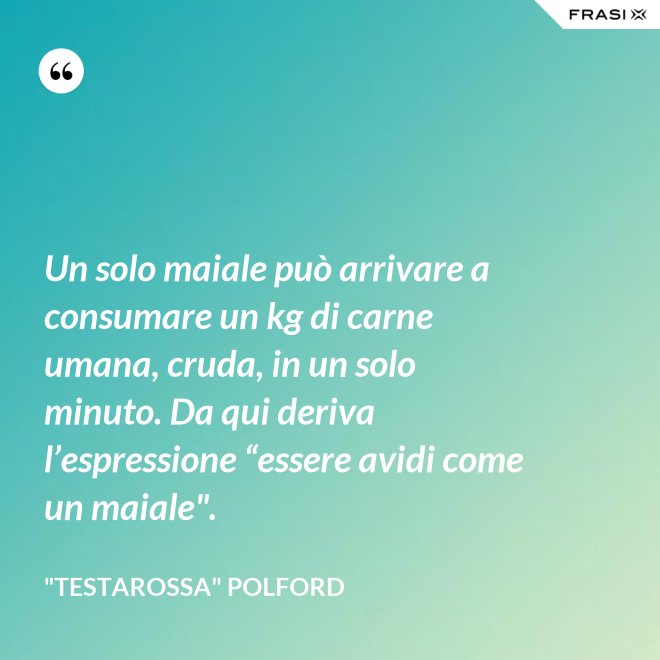 Un solo maiale può arrivare a consumare un kg di carne umana, cruda, in un solo minuto. Da qui deriva l’espressione “essere avidi come un maiale". - "Testarossa" Polford