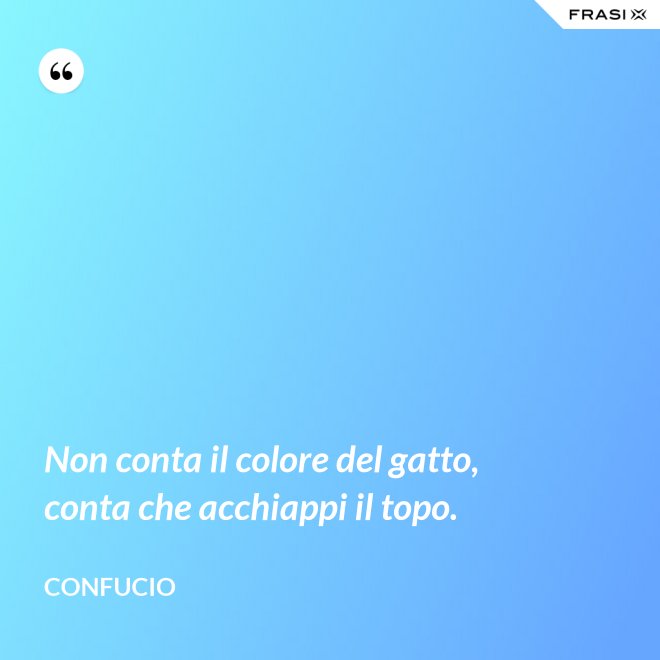 Non conta il colore del gatto, conta che acchiappi il topo. - Confucio