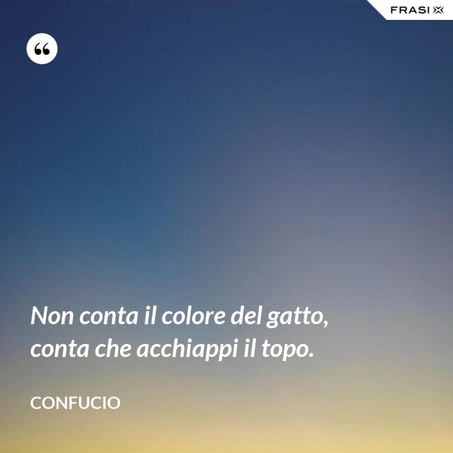 Non conta il colore del gatto, conta che acchiappi il topo. - Confucio