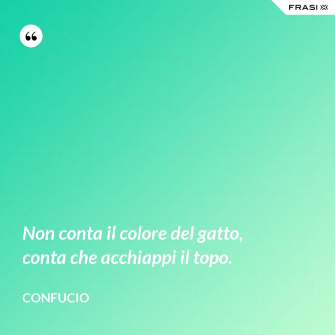 Non conta il colore del gatto, conta che acchiappi il topo. - Confucio