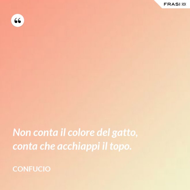 Non conta il colore del gatto, conta che acchiappi il topo. - Confucio