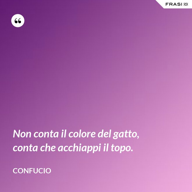 Non conta il colore del gatto, conta che acchiappi il topo. - Confucio