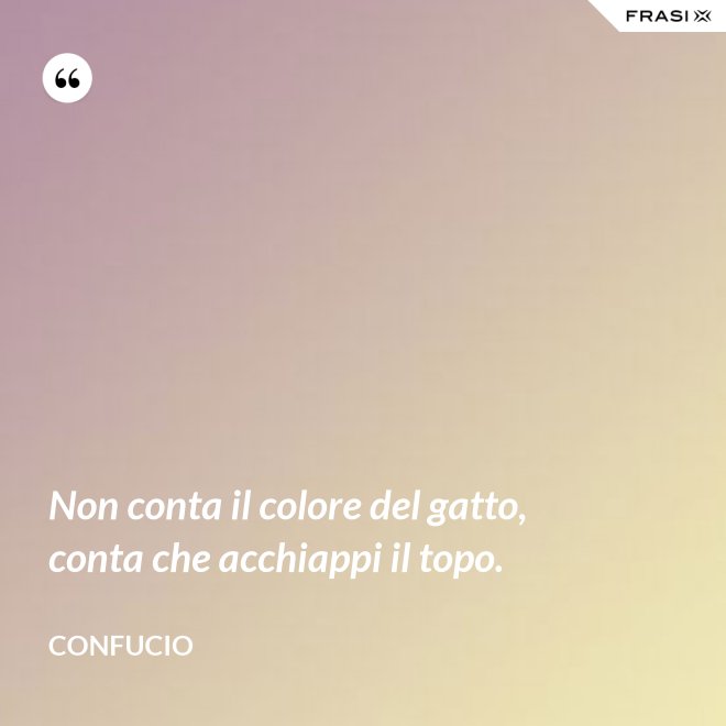 Non conta il colore del gatto, conta che acchiappi il topo. - Confucio