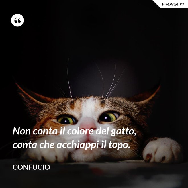 Non conta il colore del gatto, conta che acchiappi il topo. - Confucio