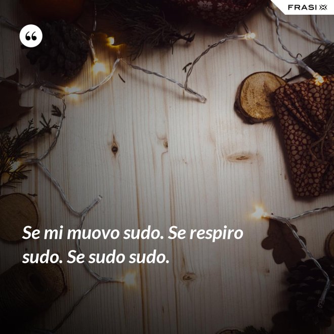 Se mi muovo sudo. Se respiro sudo. Se sudo sudo. - Anonimo