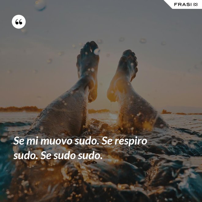 Se mi muovo sudo. Se respiro sudo. Se sudo sudo. - Anonimo