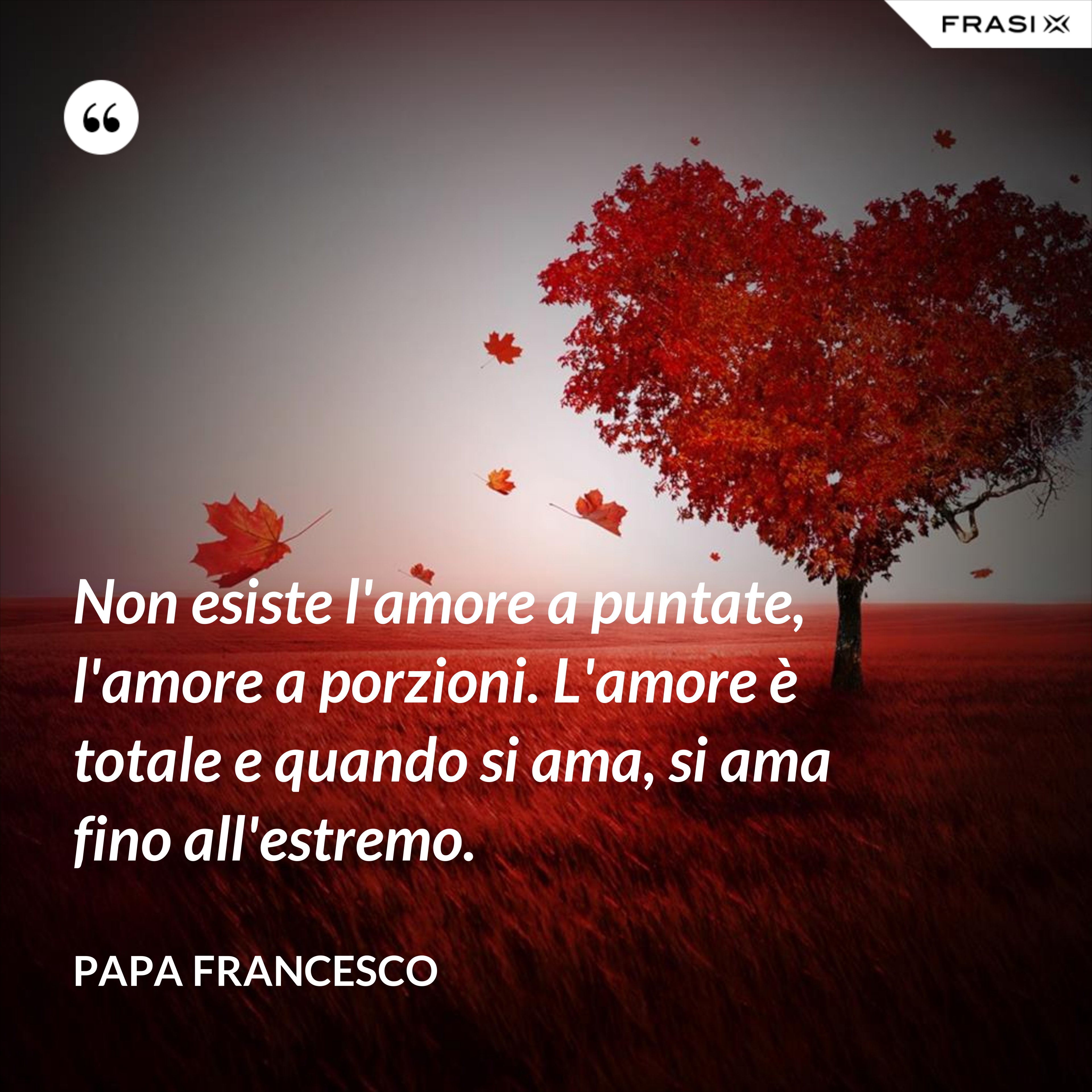 Non esiste l'amore a puntate, l'amore a porzioni. L'amore è totale e quando si ama, si ama fino all'estremo. - Papa Francesco