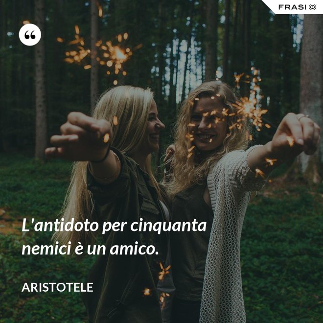 L'antidoto per cinquanta nemici è un amico. - Aristotele