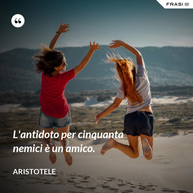 L'antidoto per cinquanta nemici è un amico. - Aristotele