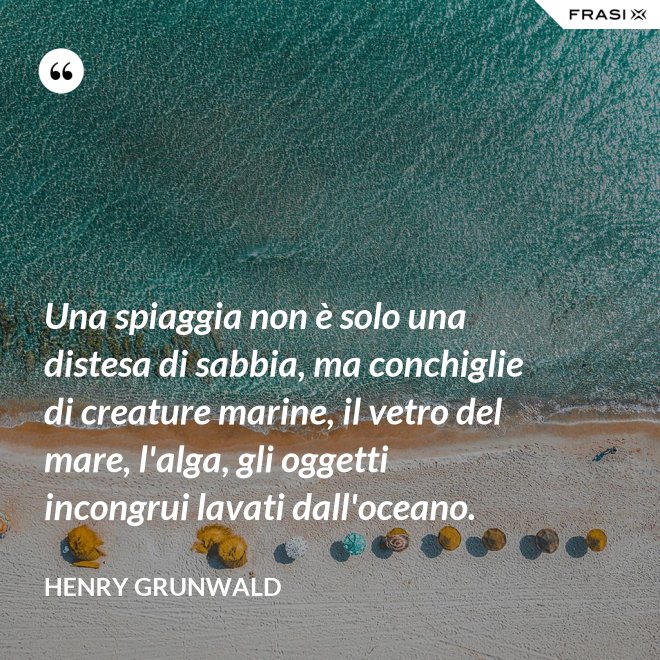 Una spiaggia non è solo una distesa di sabbia, ma conchiglie di creature marine, il vetro del mare, l'alga, gli oggetti incongrui lavati dall'oceano. - Henry Grunwald