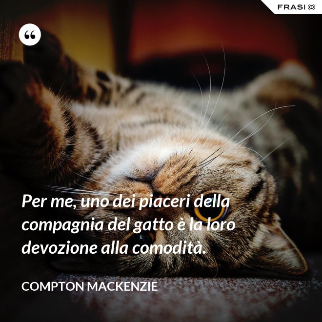 Per me, uno dei piaceri della compagnia del gatto è la loro devozione alla comodità. - Compton Mackenzie