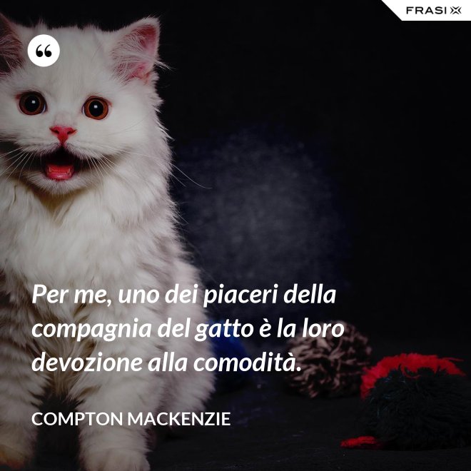 Per me, uno dei piaceri della compagnia del gatto è la loro devozione alla comodità. - Compton Mackenzie