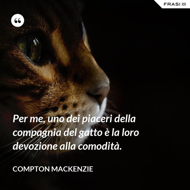 Per me, uno dei piaceri della compagnia del gatto è la loro devozione alla comodità. - Compton Mackenzie