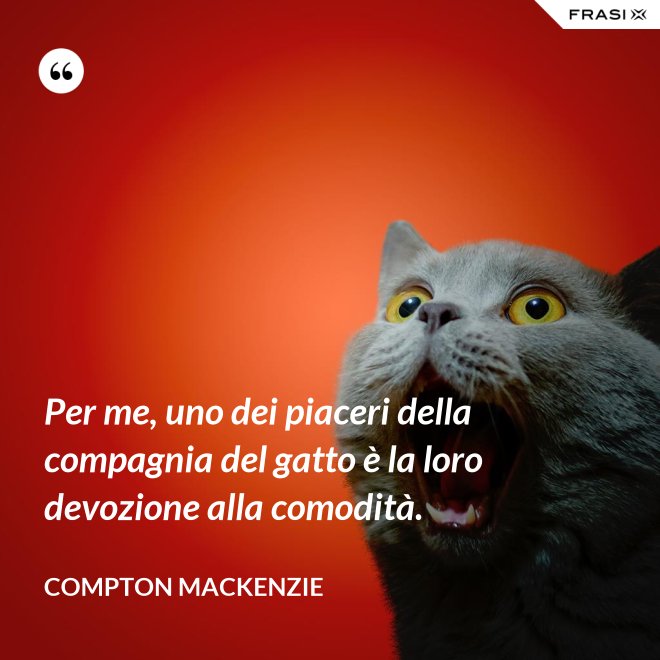 Per me, uno dei piaceri della compagnia del gatto è la loro devozione alla comodità. - Compton Mackenzie