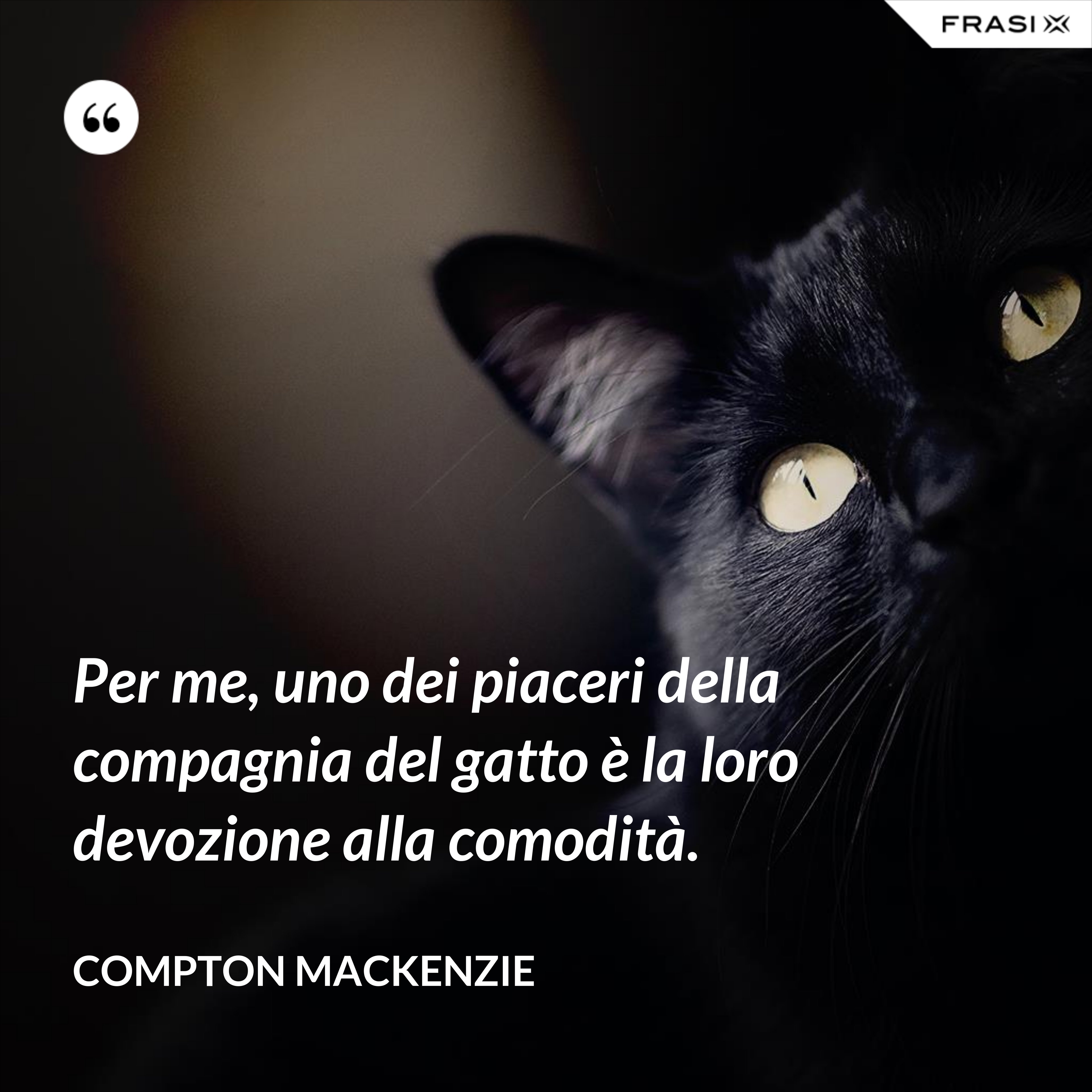 Per me, uno dei piaceri della compagnia del gatto è la loro devozione alla comodità. - Compton Mackenzie