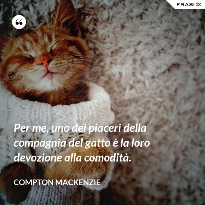 Per me, uno dei piaceri della compagnia del gatto è la loro devozione alla comodità. - Compton Mackenzie