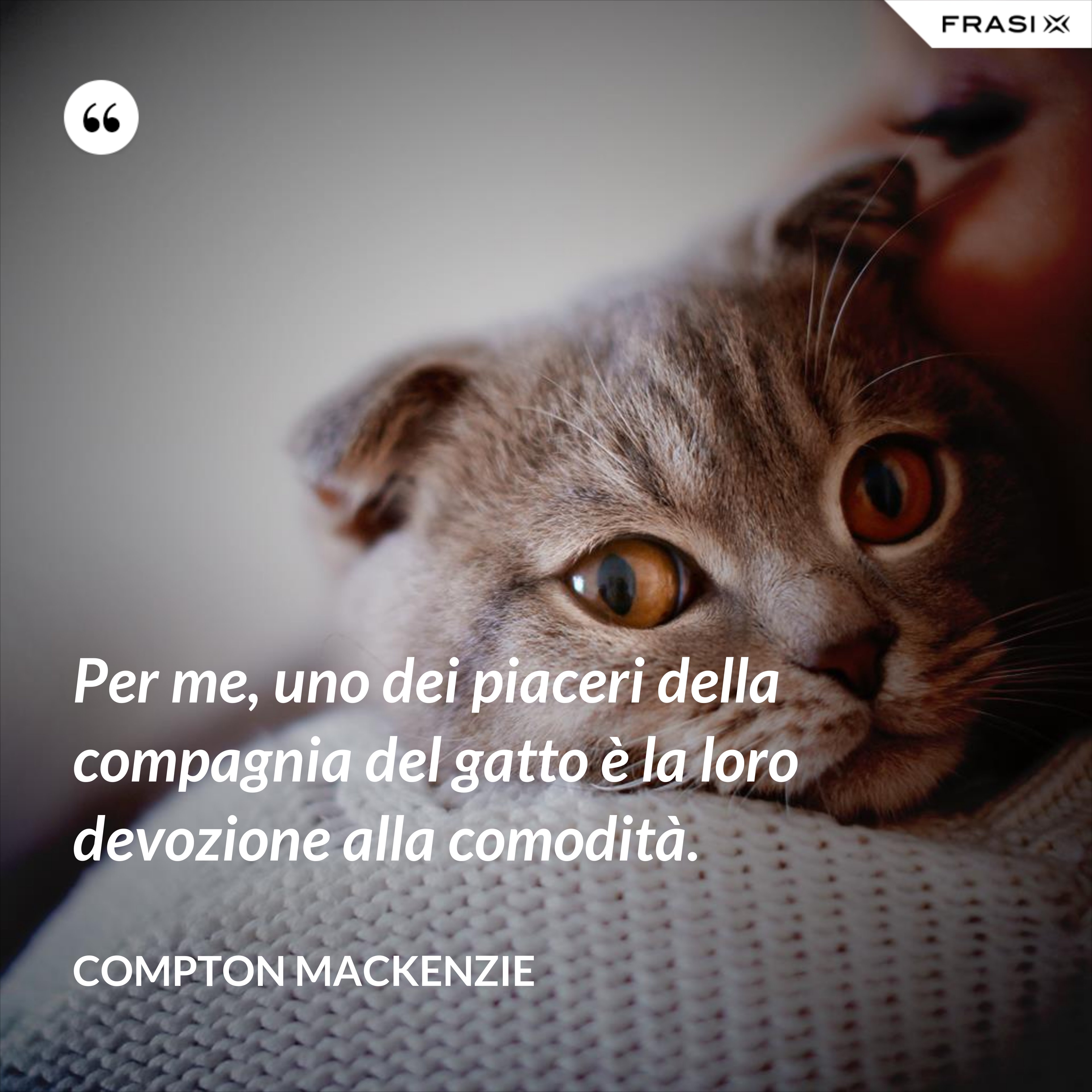 Per me, uno dei piaceri della compagnia del gatto è la loro devozione alla comodità. - Compton Mackenzie