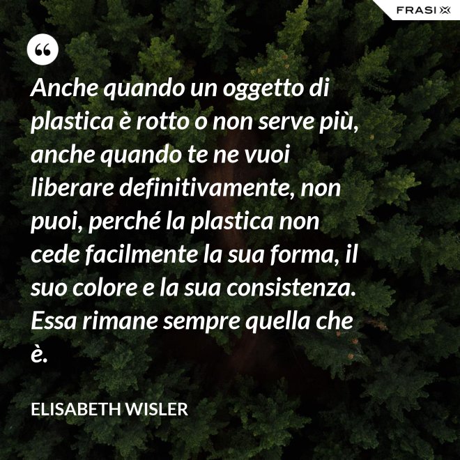 Anche quando un oggetto di plastica è rotto o non serve più, anche quando te ne vuoi liberare definitivamente, non puoi, perché la plastica non cede facilmente la sua forma, il suo colore e la sua consistenza. Essa rimane sempre quella che è. - Elisabeth Wisler