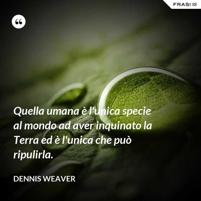 Quella umana è l'unica specie al mondo ad aver inquinato la Terra ed è l'unica che può ripulirla. - Dennis Weaver