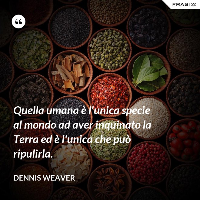 Quella umana è l'unica specie al mondo ad aver inquinato la Terra ed è l'unica che può ripulirla. - Dennis Weaver