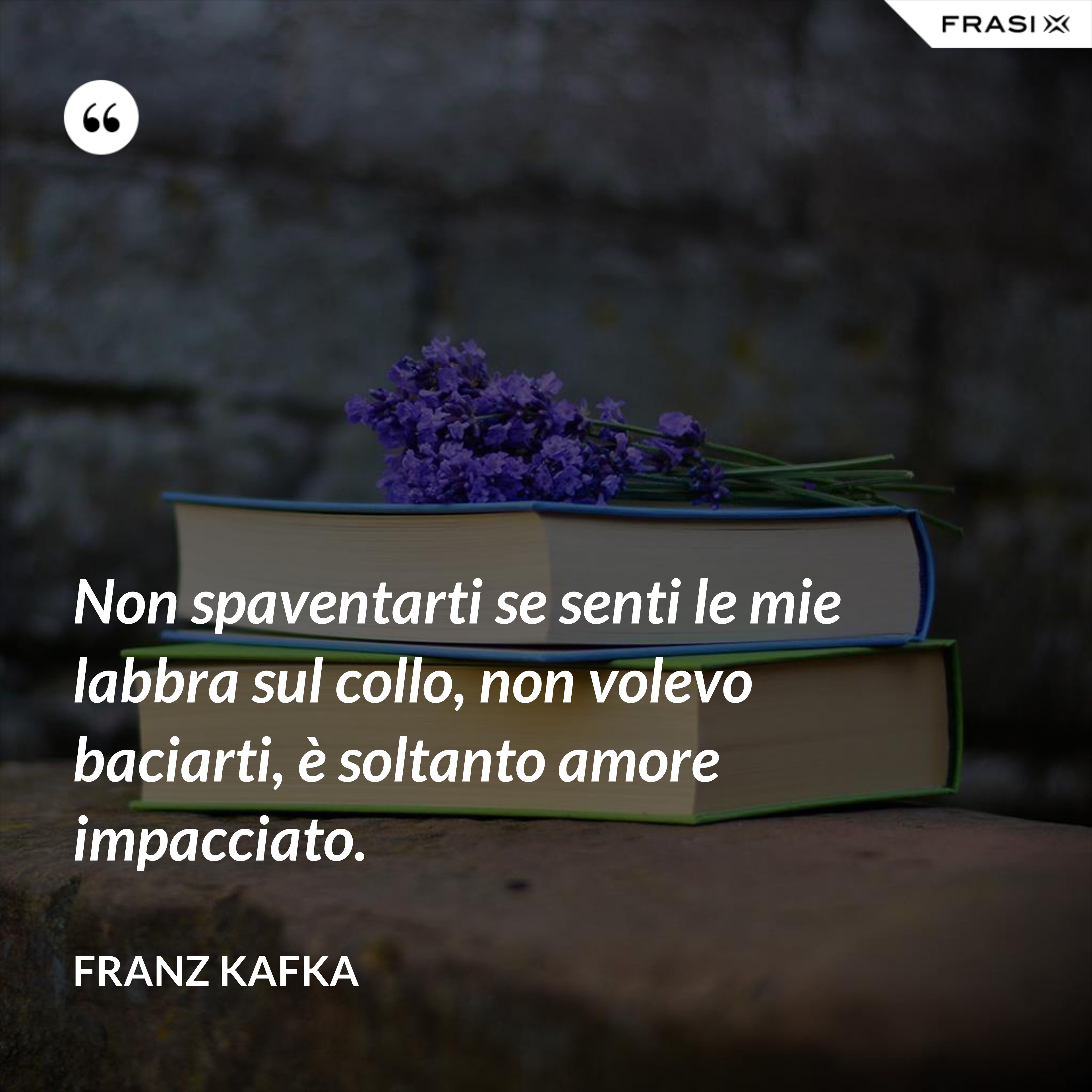 Non spaventarti se senti le mie labbra sul collo, non volevo baciarti, è soltanto amore impacciato. - Franz Kafka