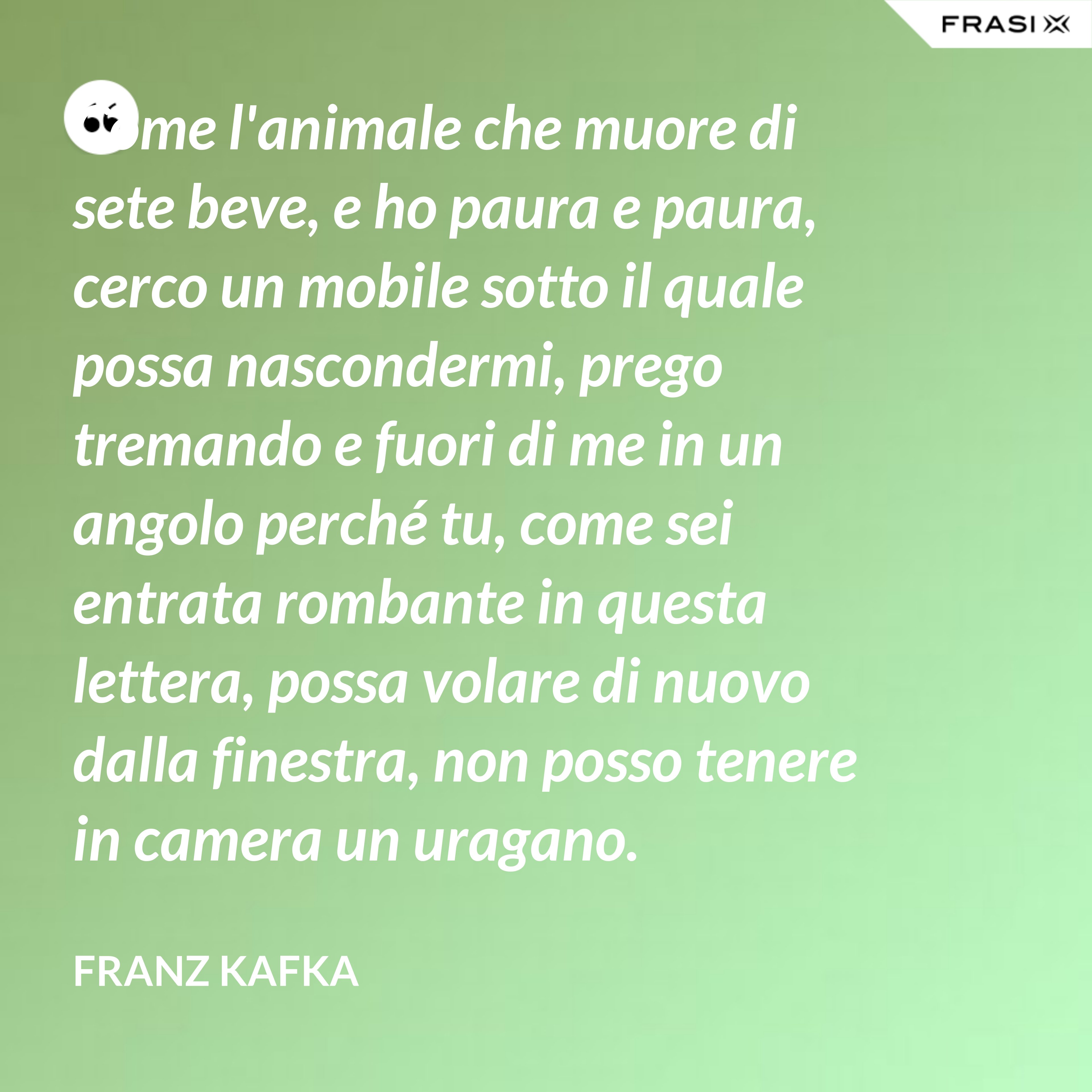 Come l'animale che muore di sete beve, e ho paura e paura, cerco un mobile sotto il quale possa nascondermi, prego tremando e fuori di me in un angolo perché tu, come sei entrata rombante in questa lettera, possa volare di nuovo dalla finestra, non posso tenere in camera un uragano. - Franz Kafka